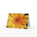Gerbera Greeting Card