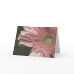 Gerbera greeting card Gerbera greeting card