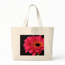 Gerbera in pink bags