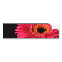 Gerbera in pink bumper stickers