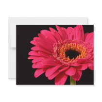 Gerbera in pink invitations