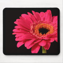 Gerbera in pink mousepads