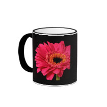 Gerbera in pink mugs