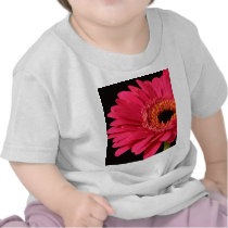 Gerbera in pink t-shirts