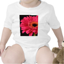 Gerbera in pink t-shirts