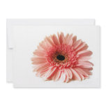Gerbera Personalized Invitations