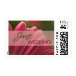 pink Gerbera June Wedding stamps
