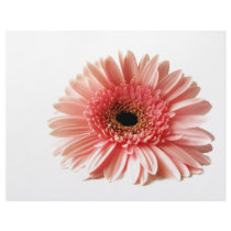 Gerbera Letterhead Design