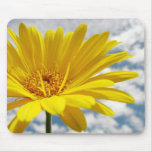 Gerbera mousepads