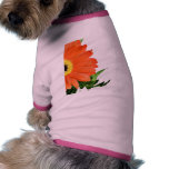 Gerbera On White Background Doggie Tee Shirt