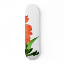 Gerbera On White Background skateboards