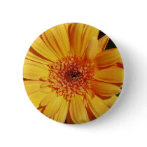 Gerbera Pin - Button.