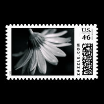 Gerbera postage