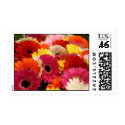 Gerbera Postage stamp
