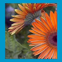 Gerbera Poster posters