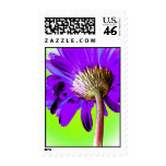 Gerbera Purple Pop Stamps
