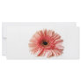 Gerbera Rack Cards