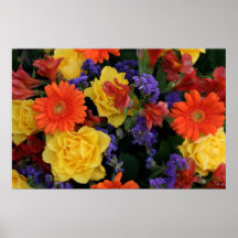 Gerbera Rose Bouquet, S Cyr Print