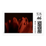 Gerbera stamp