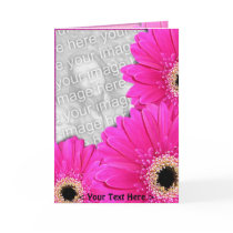 Gerberas Greetings Cards