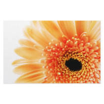Gerberav Stationery Paper