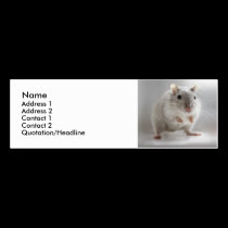 Gerbil Address Card business cards