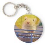 Gerbil keychains