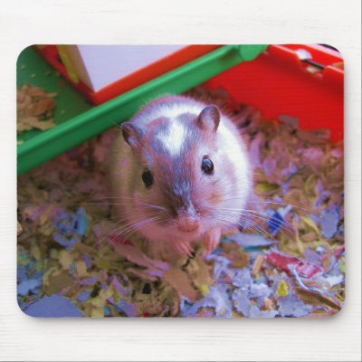 Gerbil pad mouse pads by cooldudeproducts