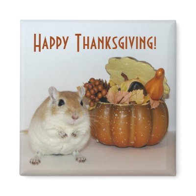 Gerbil Thanksgiving Magnet by twinsqueaks