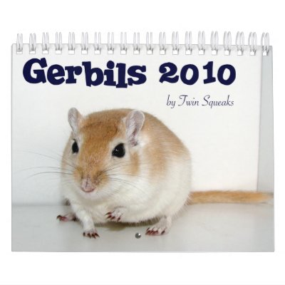 Gerbils 2010 wall calendars by twinsqueaks