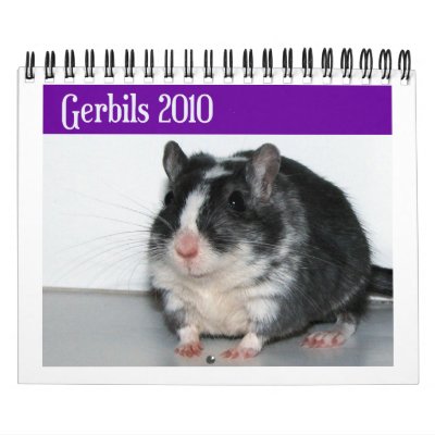 Gerbils Calendar (Reprint) by twinsqueaks