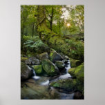 Gerês Impresiones