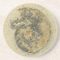 German Ammonite with Dendrites coasters