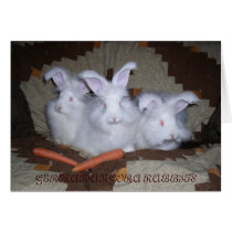 GERMAN ANGORA RABBITS GREETING CARD