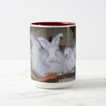 GERMAN ANGORA RABBITS COFFEE & COCOA MUG mugs