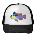German Blue Ram Cichlid Trucker Hats