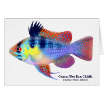 German Blue Ram Dwarf Cichlid Card