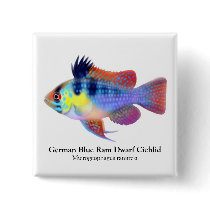 German Blue Ram Dwarf Cichlid Pin buttons