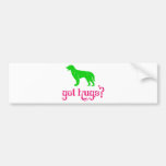 German Longhaired Pointer Bumper Sticker