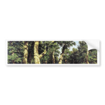 German Oaks Evening By Schischkin Iwan Iwanowitsch Bumper Sticker