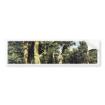 German Oaks Evening By Schischkin Iwan Iwanowitsch Bumper Sticker