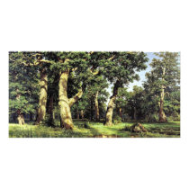 German Oaks Evening By Schischkin Iwan Iwanowitsch Photo Cards