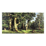 German Oaks Evening By Schischkin Iwan Iwanowitsch photo cards