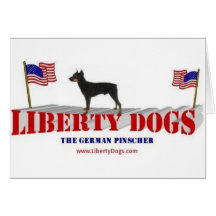 German Pinscher Greeting Card