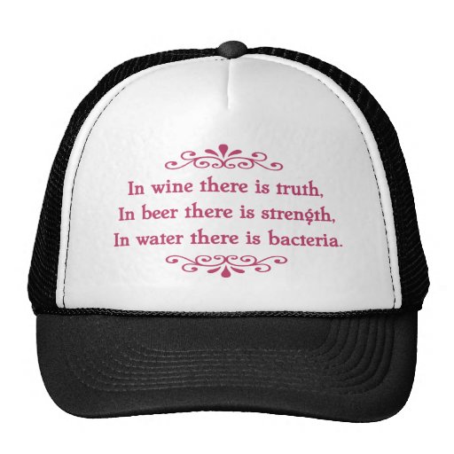 German Proverb -CF Mesh Hat