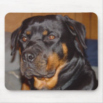 German Rottweiler Mouse Pads