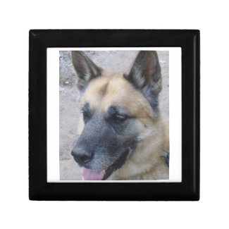 German Shepard Gift Box giftbox