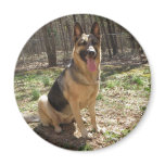 german shepard magnets