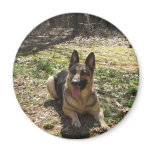 German Shepard Fridge Magnets