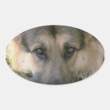 German Shepard Oval Sticker